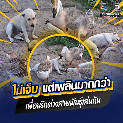 hen10 อยากทำอะไรก็ทำ|ชอบแบบไหน ก็ฝึกแบบนั้น ทำชีวิตให้มัน enjoy.
